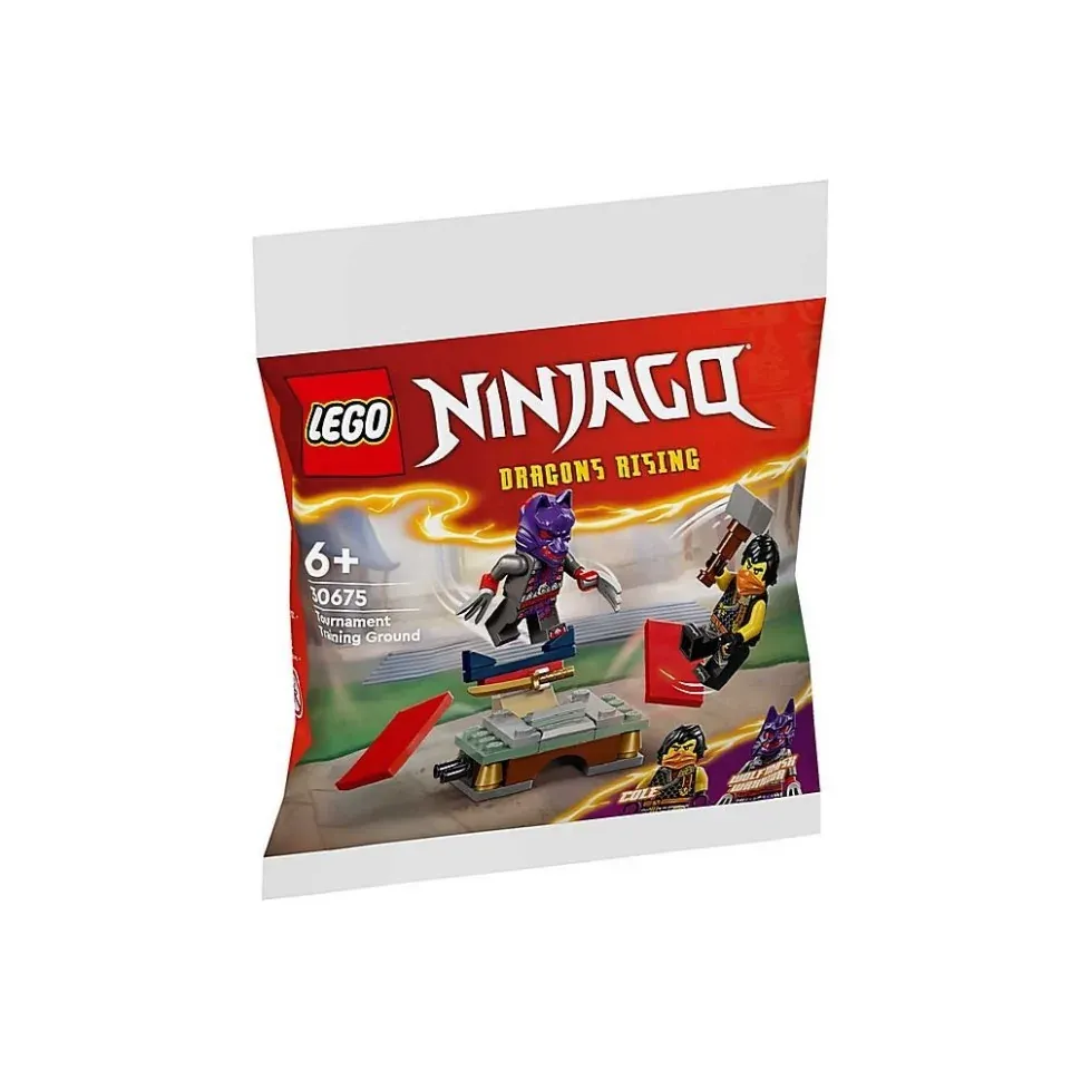 Конструктор "Тренувальна база для турніру" LEGO 30675LG 49 деталей